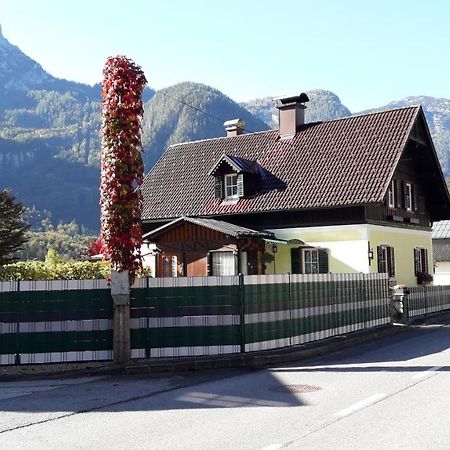 Apartamento Haus Fratnik Obertraun Exterior foto